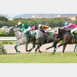 マーメイドSで重賞2勝目を挙げた