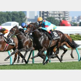 札幌日経オープンを快勝