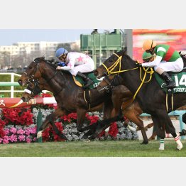 暮れのターコイズSでは5番人気ミスパンテールが勝利
