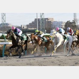 カペラS好走のドラゴンゲートが大本線