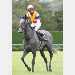 3走前に準オープン勝ち