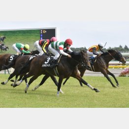 八ヶ岳特別までは3戦3勝