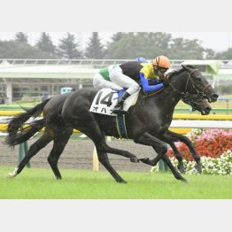 前走は重馬場で後方から差し切り