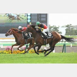 16年長万部特別以来のVを
