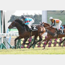同じ舞台の松籟Sを勝ってオープン入り