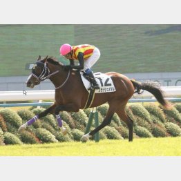 文句なしの内容で新馬V