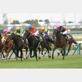 オリオンSはメンバー最速の上がりで②着(中)