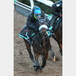 転厩2戦目で本領発揮