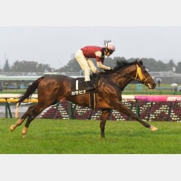 精進湖特別を快勝