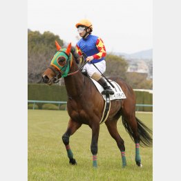直線の長い中京はマッチする