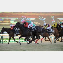 15年のこのレースは首差②着