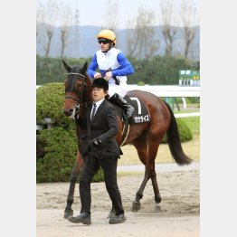 未勝利→特別と連勝中
