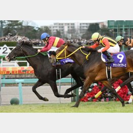15年有馬記念でGⅠ馬に