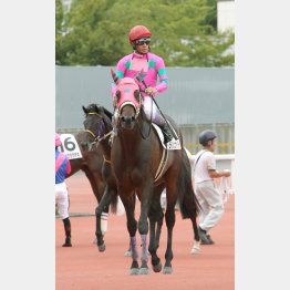 現級でも実力は最上位