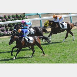 同舞台で初勝利