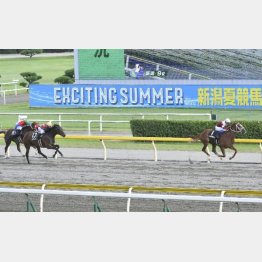 瀬波温泉特別を逃げ切り