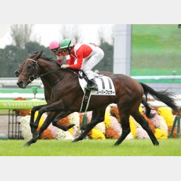 デビュー戦は着差以上の内容