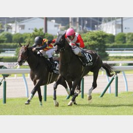 前走も勝ち馬とは0秒1差(内)