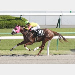 昨年は京都で天王山Sを3馬身差で圧勝
