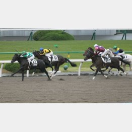 2走前は12番手から差し切った