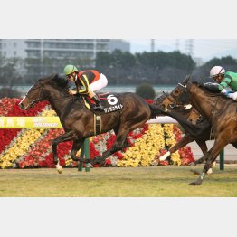 前走勝ちは成長の証し