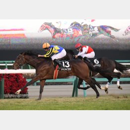 前走も完勝