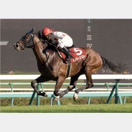 ミッキースワローは同舞台でGⅡ勝ち