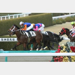 京都本紙弘中は2走前②着のメイショウアリソン狙い