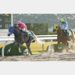 みやこSは2馬身半差の快勝