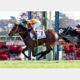 中山千八で初勝利