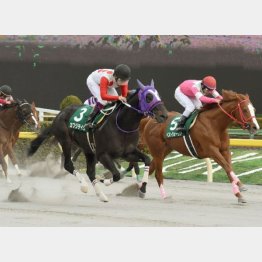 昨年はカフジ①着、ベスト②着