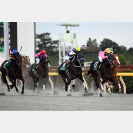 昨年の武蔵野Sでは178万馬券が出た