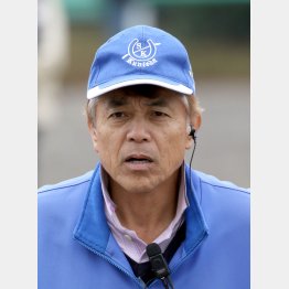 国枝調教師