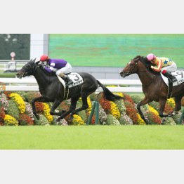 2走前は早め先頭でV