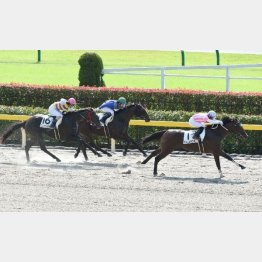 ダート2戦目は完勝