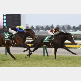 超スローになった昨年はブラックスピネルの逃げ切り勝ち