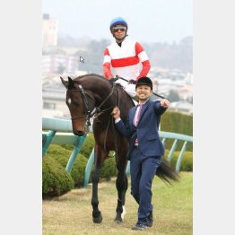 有馬記念の日に阪神で新馬を勝ったダノン