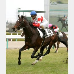 デビュー戦を快勝