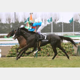 先週はノーザンF生産馬で3連勝を飾った