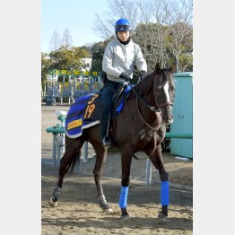 東から単騎参戦