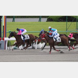 五百万勝ちも休み明けだった
