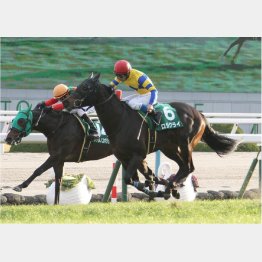 一昨年にGⅢ勝ち