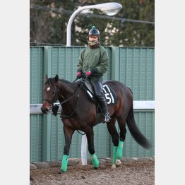 皐月賞馬アルアインの全弟