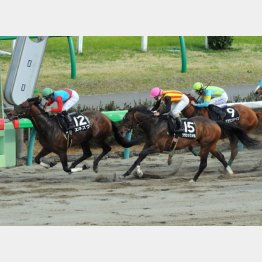 昨春の下総Sは0秒1差②着