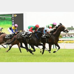 多摩川Sは鬼脚でのちの重賞馬に肉薄