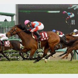 弥生賞で重賞2勝目