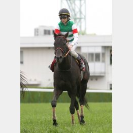 マイラーズC以来の重賞Vを狙うクルーガー
