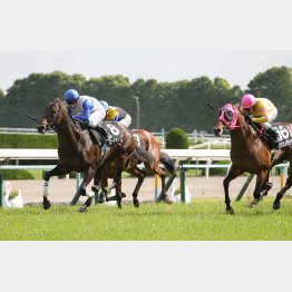 昨春、京都の朱雀Sで現級勝ち