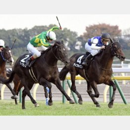 東京でキャピタルSを快勝