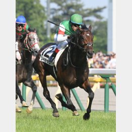 ダービーで世代の頂点に